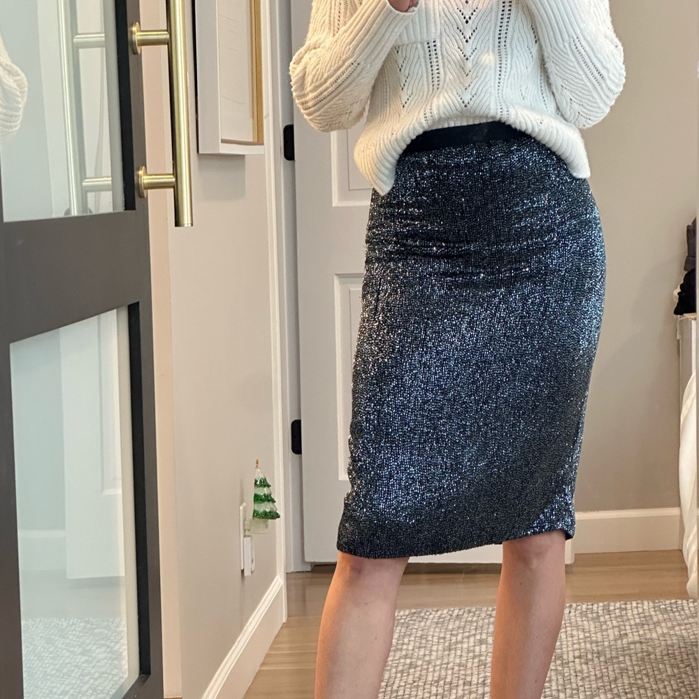 NWT JOIE Beaded Edryce Pencil Skirt Blue